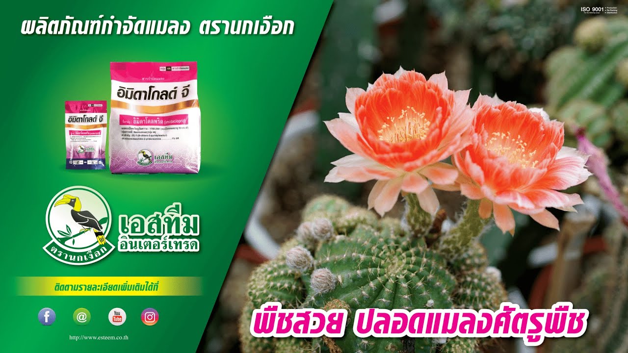 การใช้ผลิตภัณฑ์