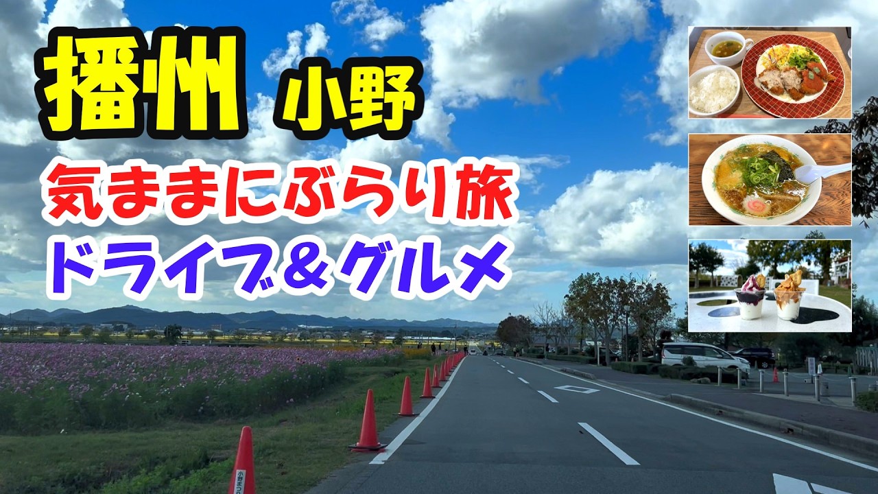 【播州小野市グルメ】共進牧場、ひまわり公園をめぐるぶらり旅