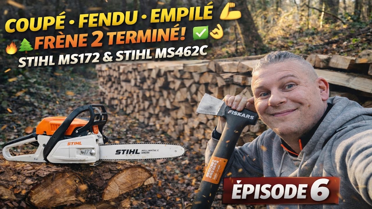 🌲 AFFOUAGE 2025/2026/😡Mon tas dépilé par des jeunes😡/Frêne 2 coupé, fendu et empilé 🔥/STIHL MS 172 🪚