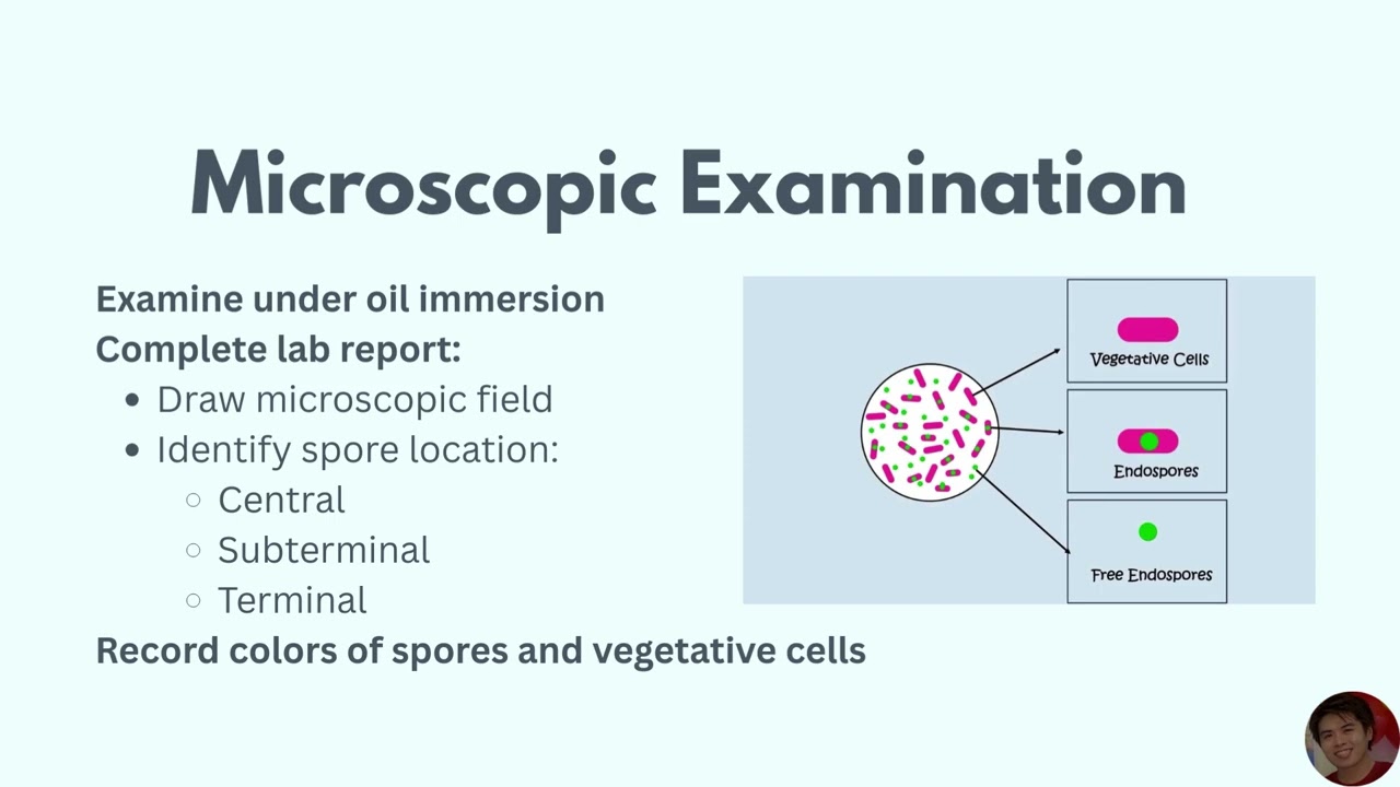 Bacteriology & Mycology || Ex. 3 & 4 || DVM 3C - G3 Report