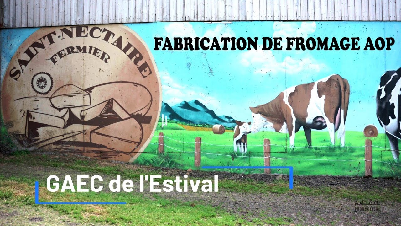 Saint-Nectaire AOP  - Ferme de l 'Estival - élevage , fabrication et vente de fromage  à la La Clède