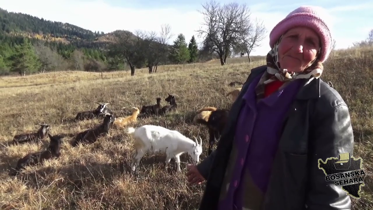 Sinovi ne dolaze pa ne znam ni gdje su(možda sam tako i zaslužila)