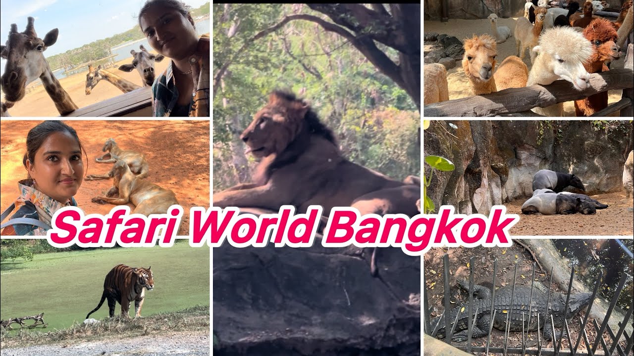 Bangkok Safari World Tour- Thailand
