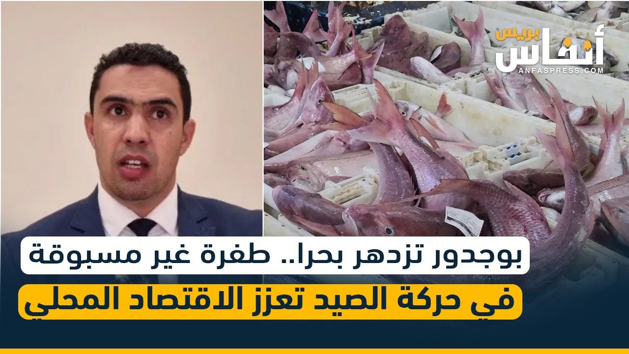 بوجدور تزدهر بحرا.. طفرة غير مسبوقة في حركة الصيد تعزز الاقتصاد المحلي