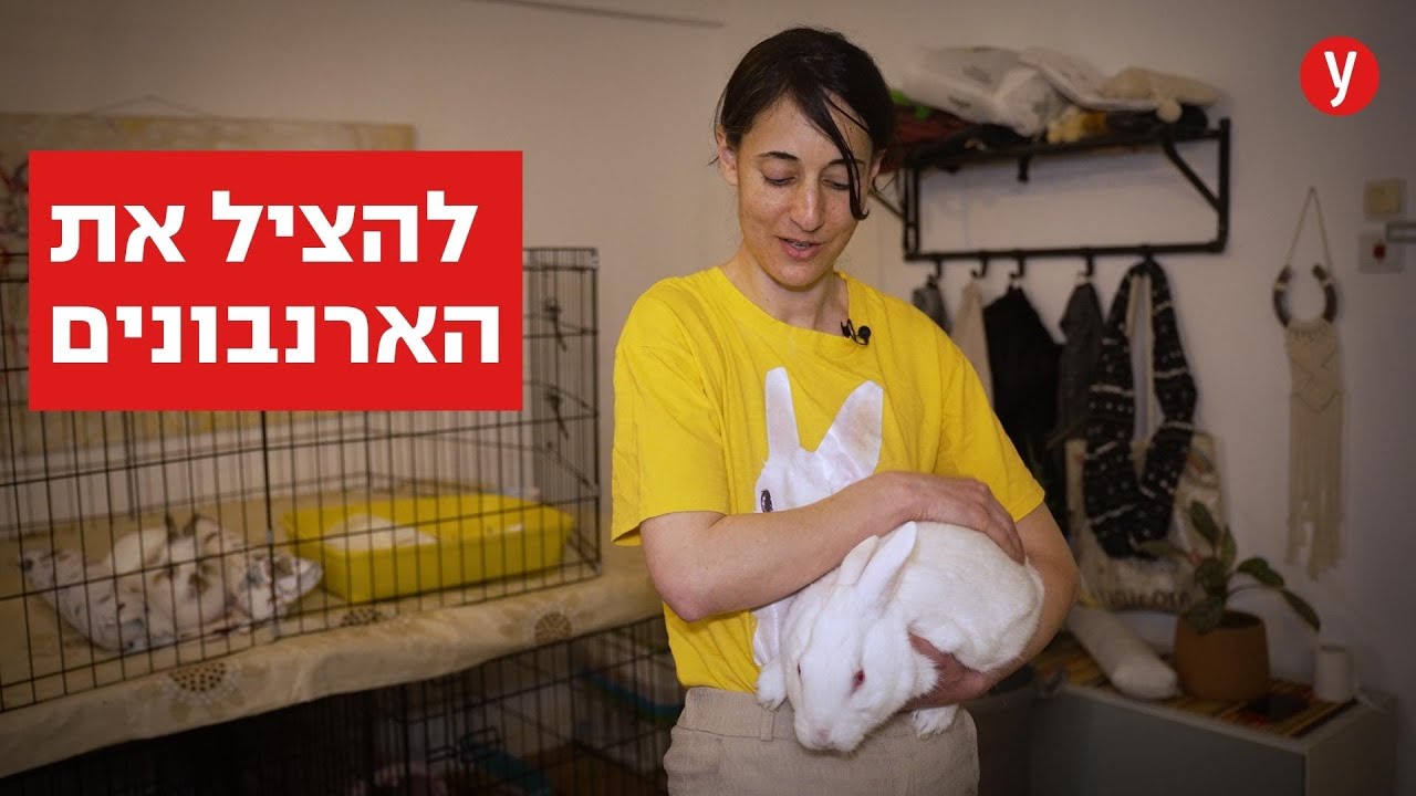 האישה שהפכה את הדירה שלה לבית מחסה לארנבונים