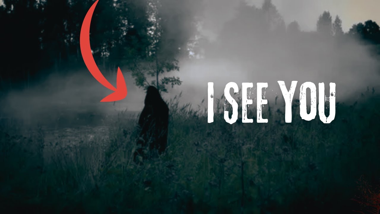 4 Scary Forest Encounters That’ll Keep You Out of the Woods
