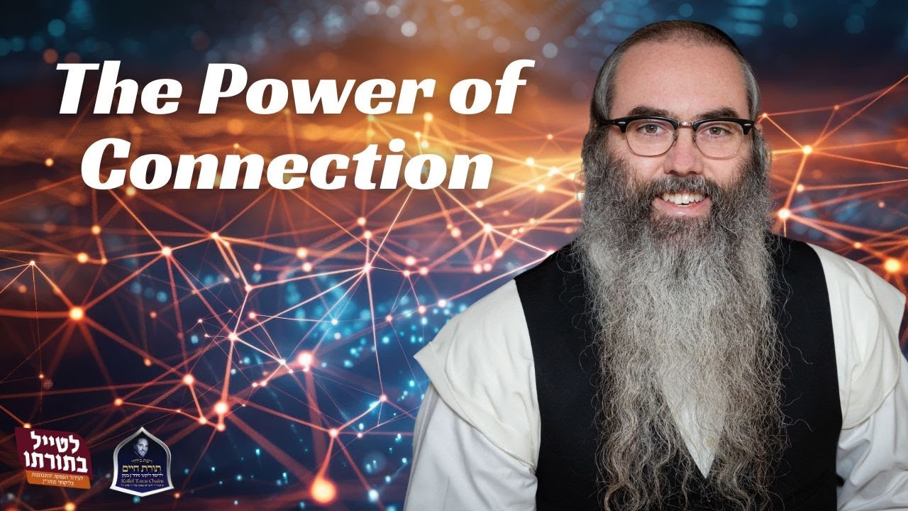The Power of Connection