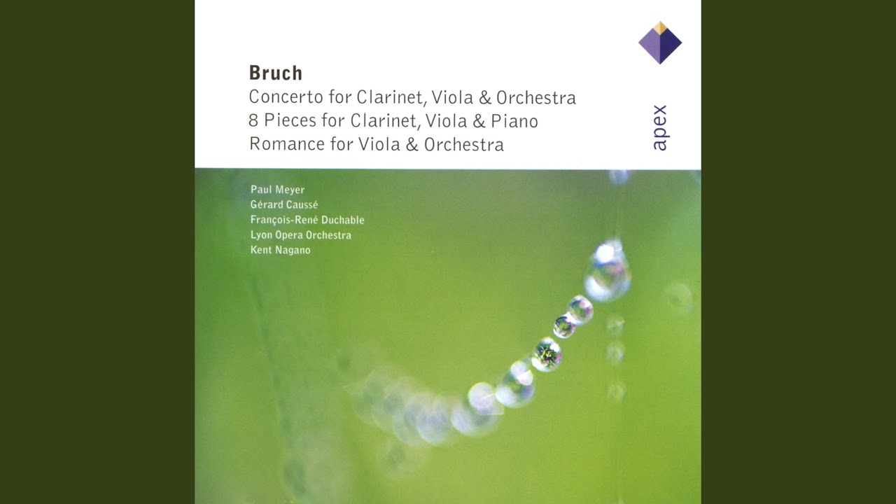 Concerto for Clarinet and Viola in E Minor, Op. 88: I. Andante con moto