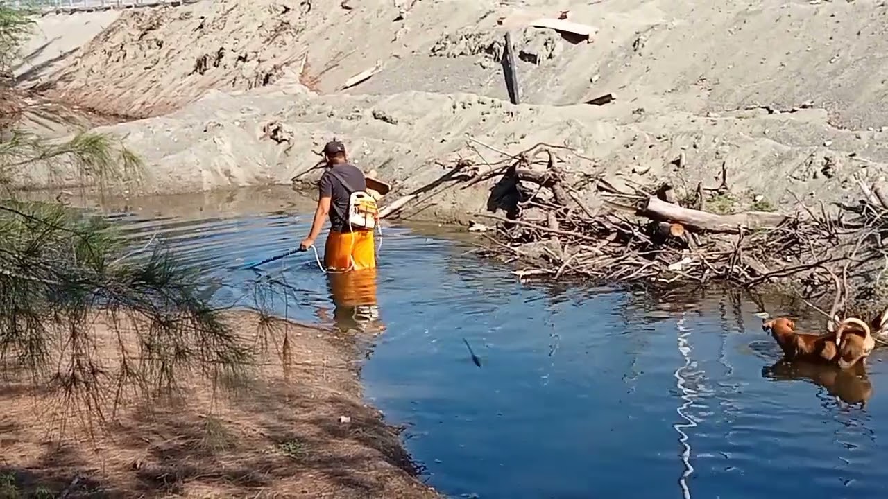 buhay ilocos) nanguryente sa ilog kasama alagang aso)by Roman Estolora