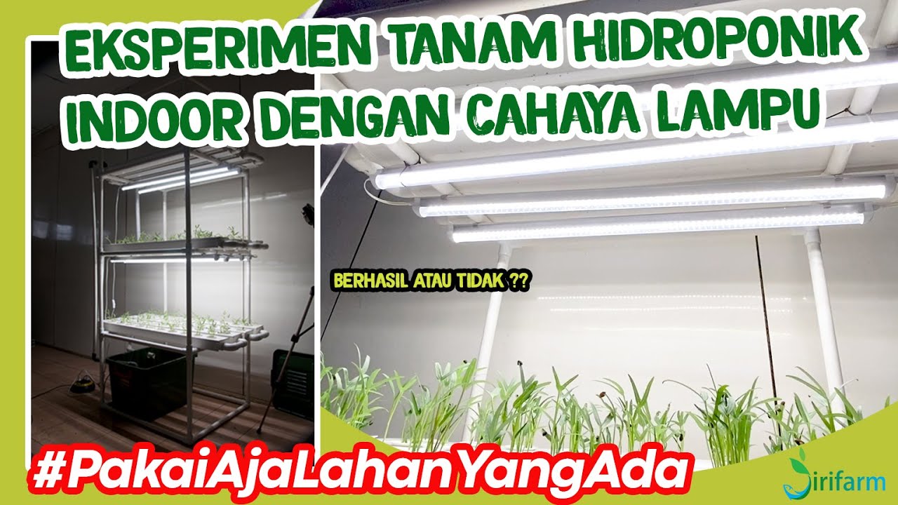 Hidroponik Indoor #PakaiAjaLahanYangAda #Exsperimen #KIT #Hidroponik