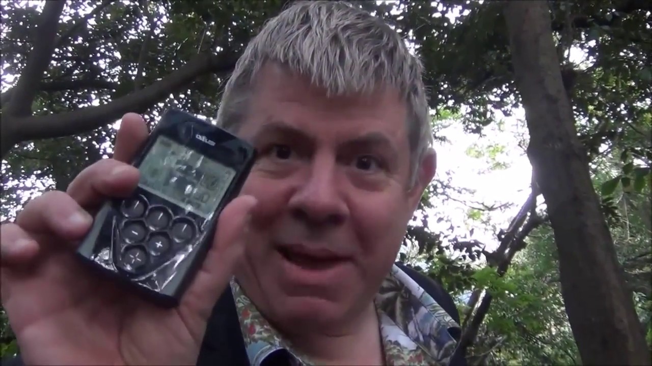 Chill Bill treasure hunts Japan