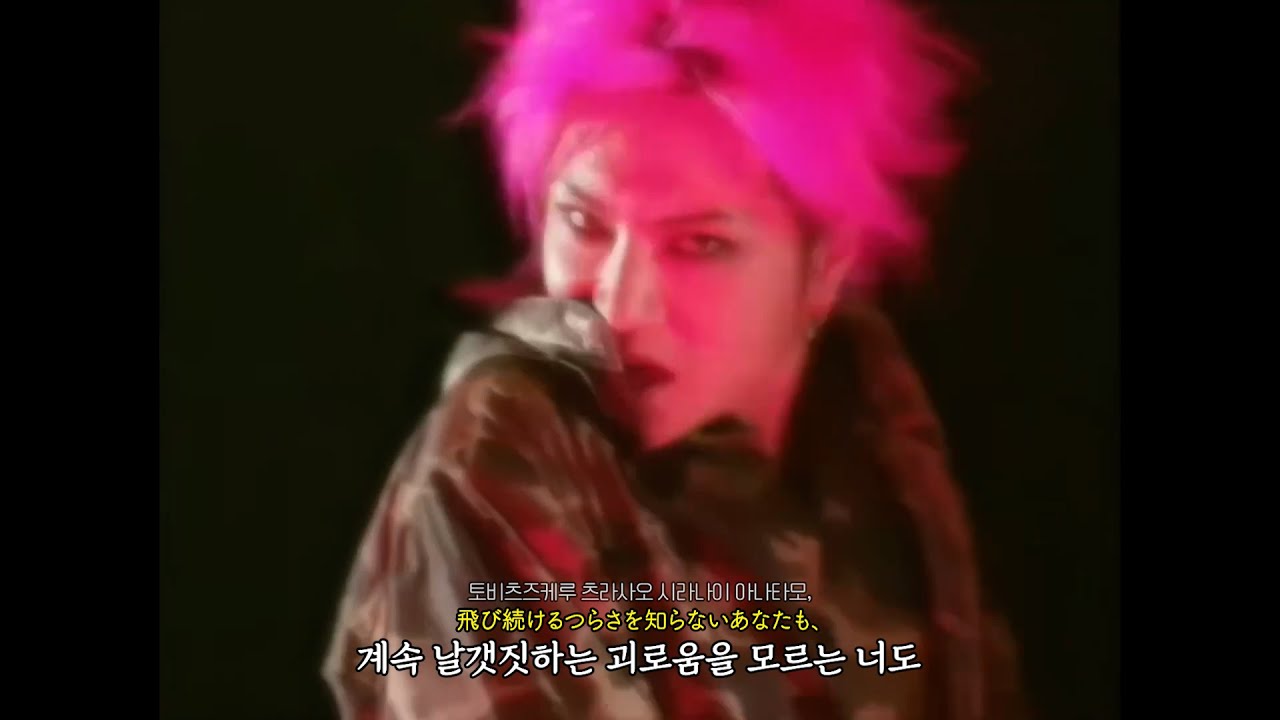 히데 (hide) - ピンク スパイダー (PINK SPIDER)🕷️🩷 [가사/해석/독음/lyrics/歌詞]
