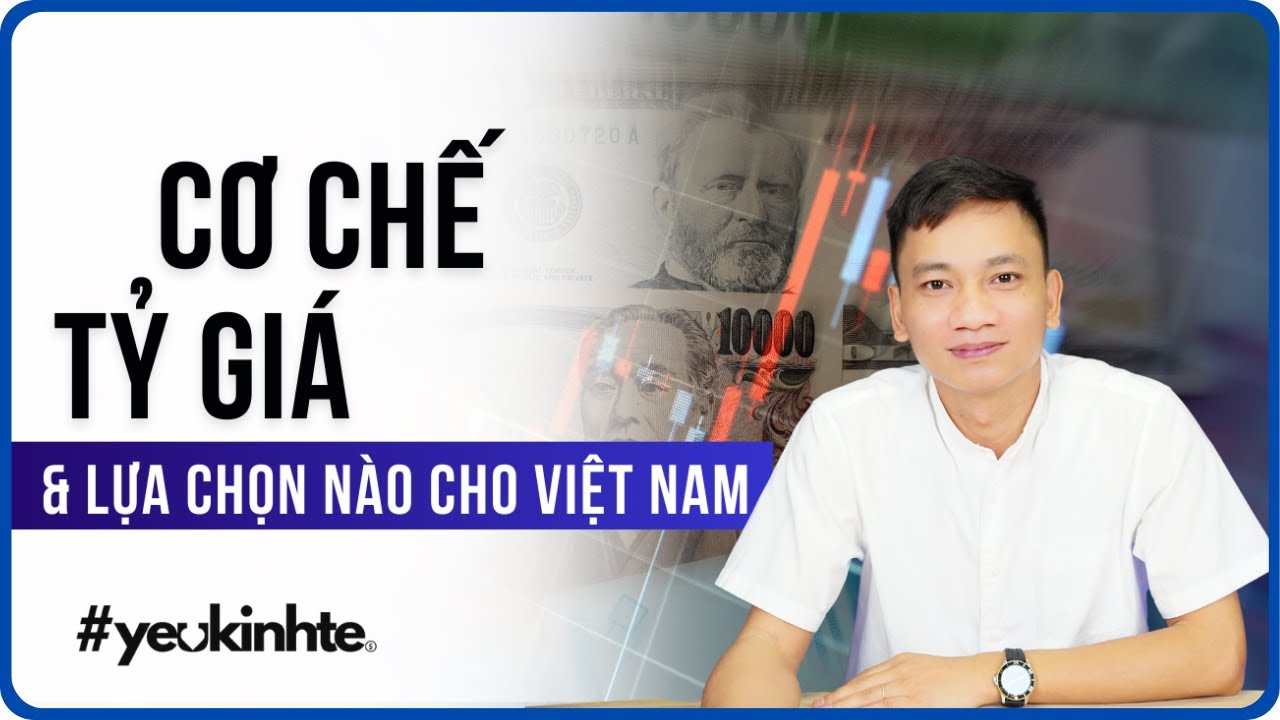 Cơ chế Tỷ giá và lựa chọn nào cho Việt nam | Trần Ngọc Báu