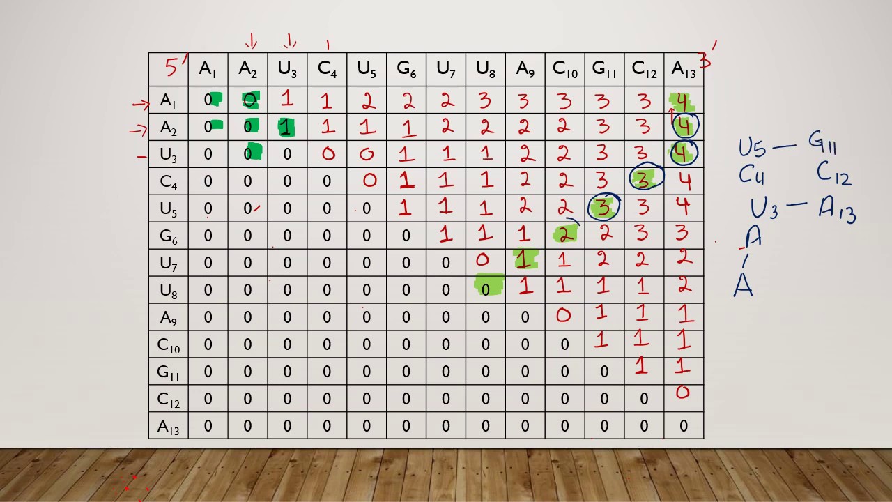 Nussinov Algorithm in bioinformatics - RNA Secondary Structure Prediction