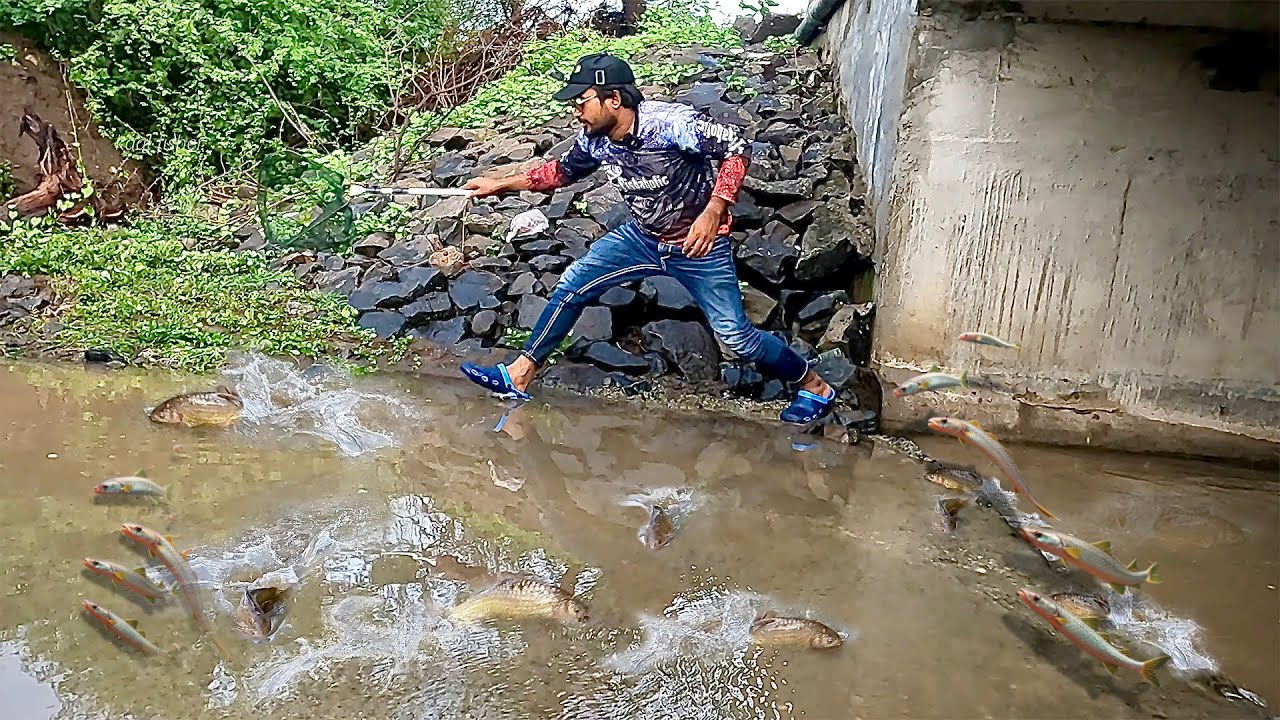 मॉनसून में मछली पकड़ने का प्रक्रिया 'चाढनीचे मासे || Chadniche Mase @चढणीचेमासे