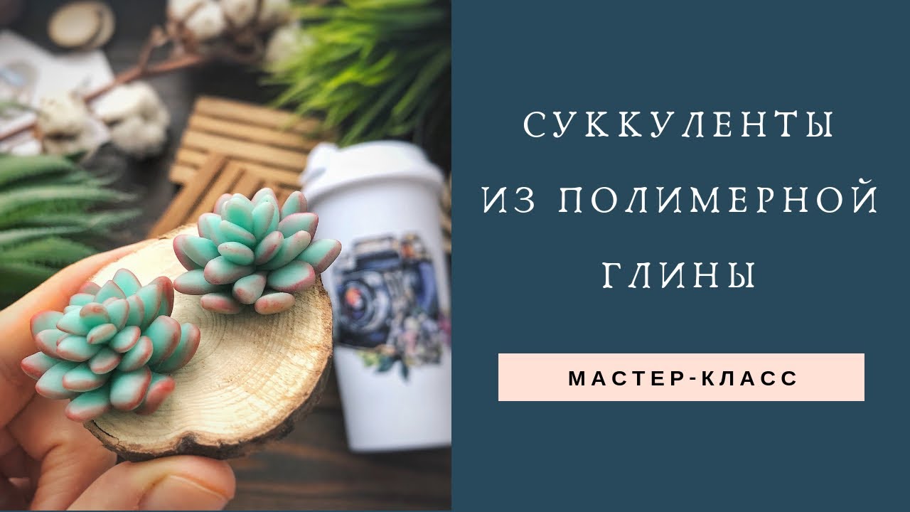 СУККУЛЕНТЫ из полимерной глины / МАСТЕР-КЛАСС / Polymer clay