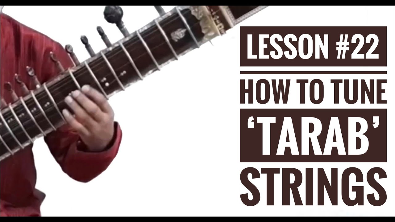 Sitar Tutorial Lesson 22 || How to Tune Tarab Strings || On Sitar || By Dr. Ashok Kumar Chambyal