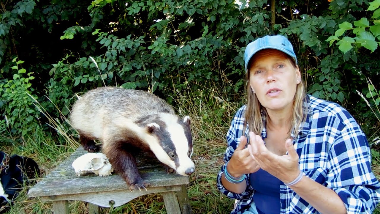 Wist jij dit al van de Das? - Juf in de Natuur