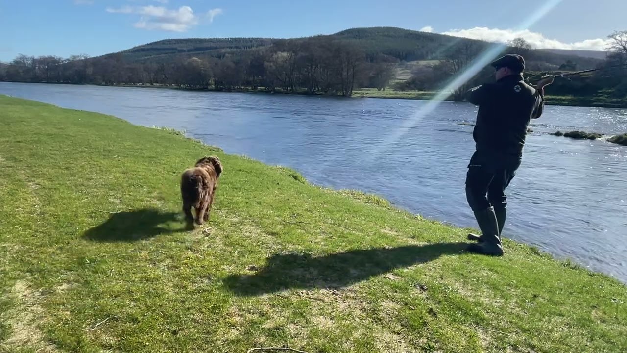2 essential tips for speycasting a sinking line