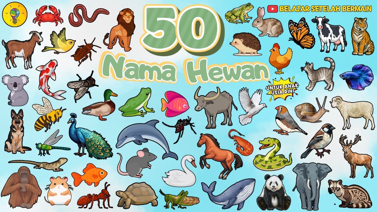 50 Nama Hewan - Belajar Mengenal Nama Nama Hewan untuk Anak Usia Dini || Belajar Setelah Bermain