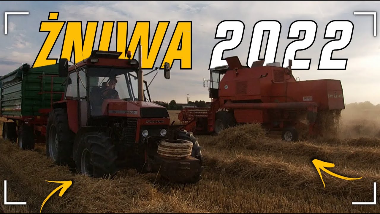 Wieczorne Żniwa Pszenżyta 2022🌾Smarowanie&Czyszczenie Bizona💪Ursus&Metaltech🔥[Agro Marszał]