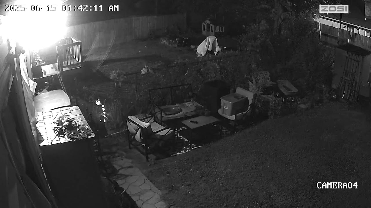 6-15-25 01:41 Backyard Cam 4