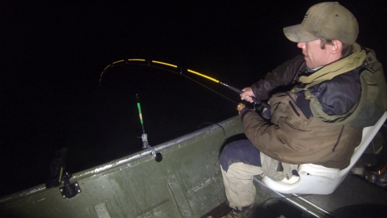 sumec cca 190cm Noční vábnička
