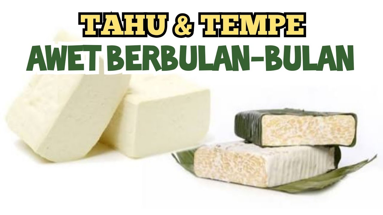 CARA MENYIMPAN TAHU TEMPE AWET TAHAN LAMA DIKULKAS BERBULAN-BULAN | TIDAK CEPAT BUSUK