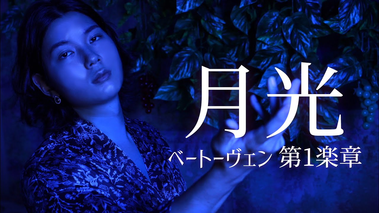 ベートーヴェン【月光】第1楽章/Beethoven Moonlight Sonata 1st movement