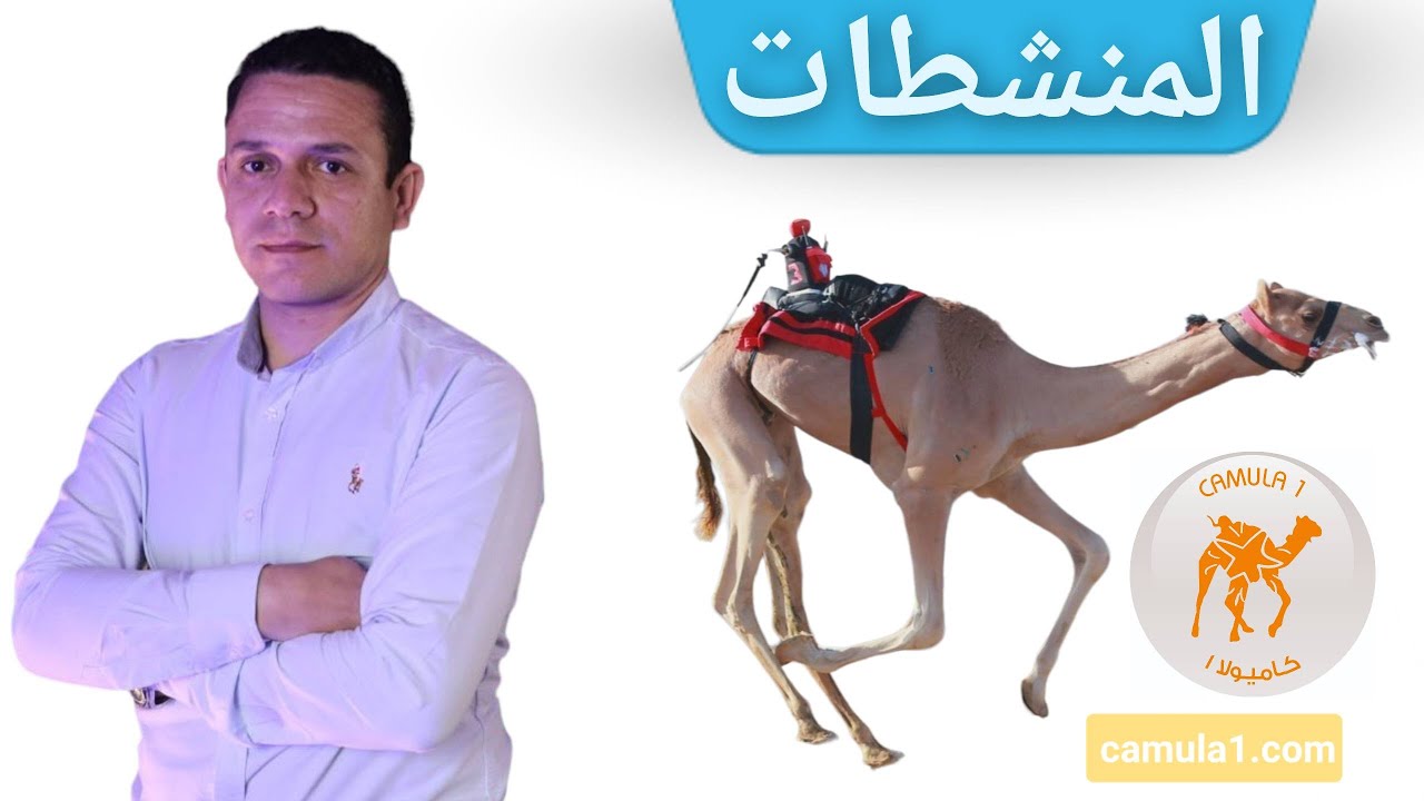 ما هى المنشطات أو الأدوية المحظورة فى سباقات الهجن