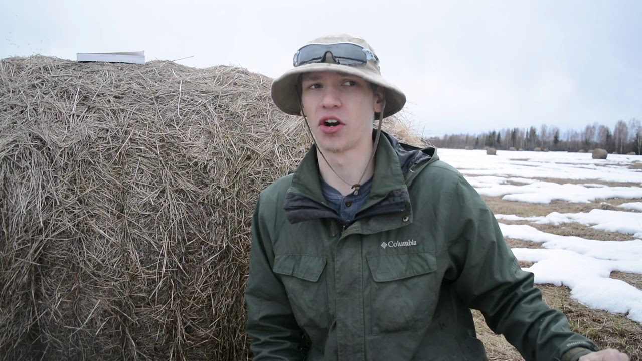 Wild Alaskan Edibles Discussion (Feat Life in the Taiga)