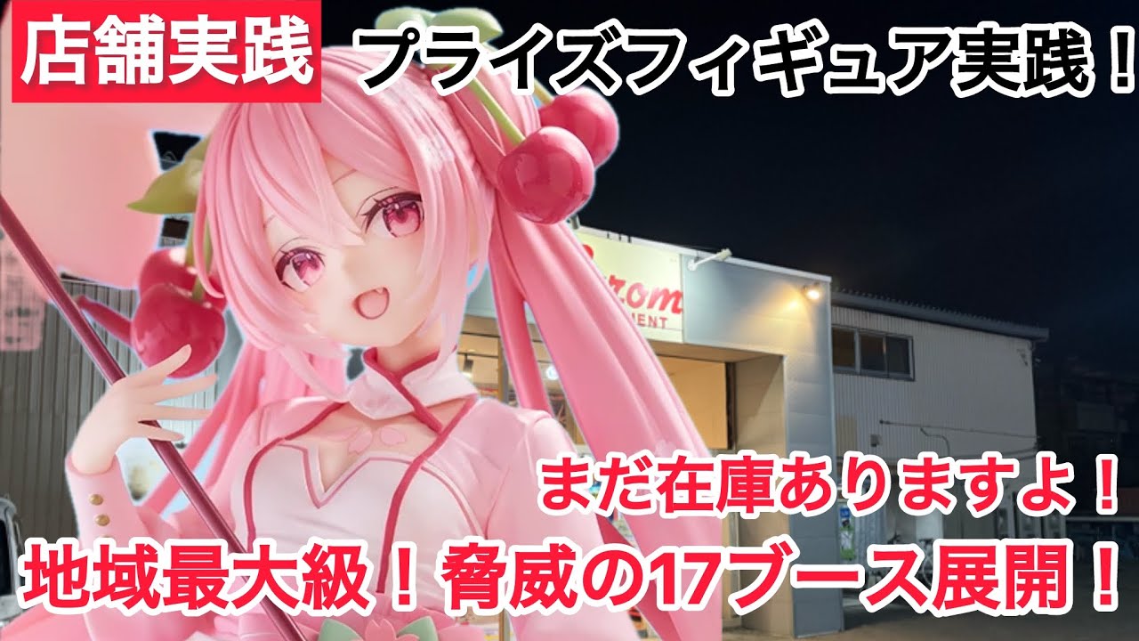 【クレーンゲーム】本日AMP＋より桜ミクの注目プライズフィギュア登場！！ #クレーンゲーム #ufoキャッチャー #キャロム坂戸店 #キャロム #桜ミク