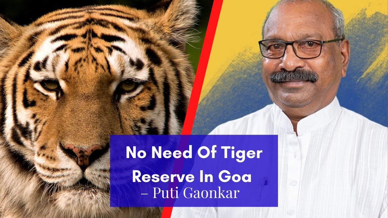 No Need Of Tiger Reserve In Goa &ndash; Puti Gaonkar
