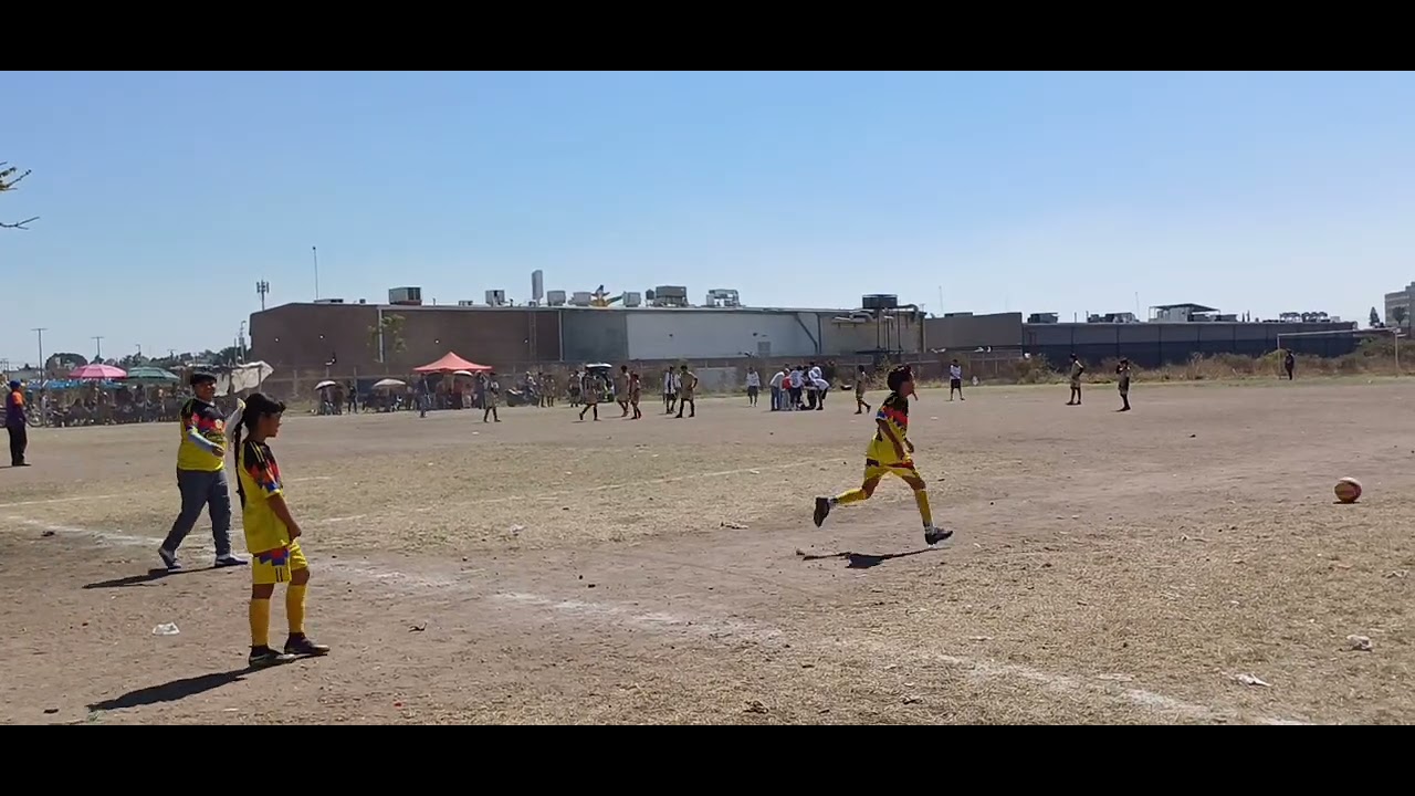 Pequeños campeones
