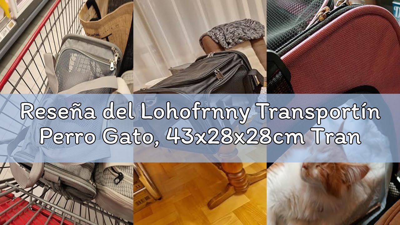 Reseña del Lohofrnny Transportín Perro Gato, 43x28x28cm Transportin Mascota Transpirable Plegable de
