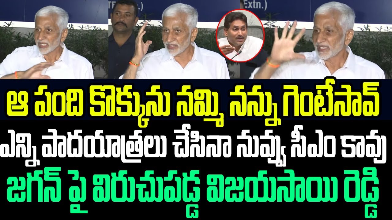 ఆ పంది కొక్కును నమ్మి నన్ను గెంటేసావ్..నువ్వు చచ్చిన సీఎం కావు..జగన్ పై విరుచుపడ్డ విజయసాయి రెడ్డి