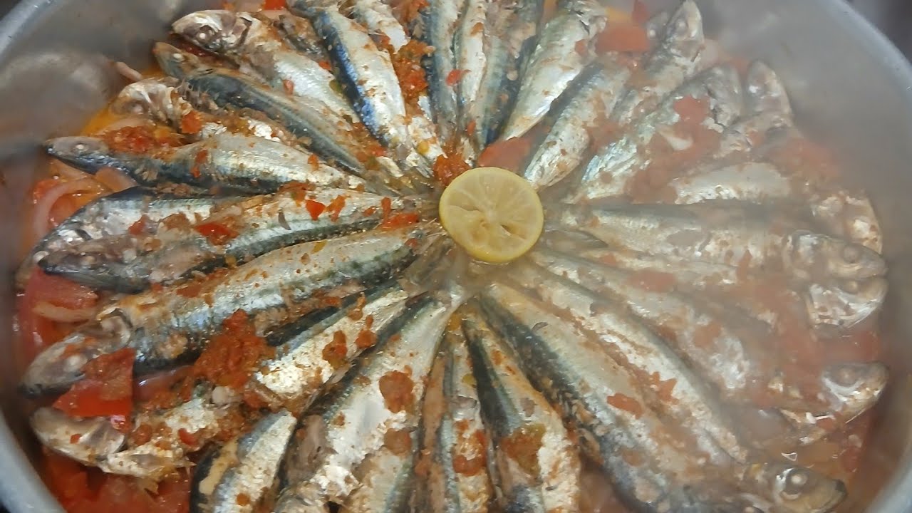 تعالو  شرفوني ونوروني يا طيبين🥰بدأت قناة 