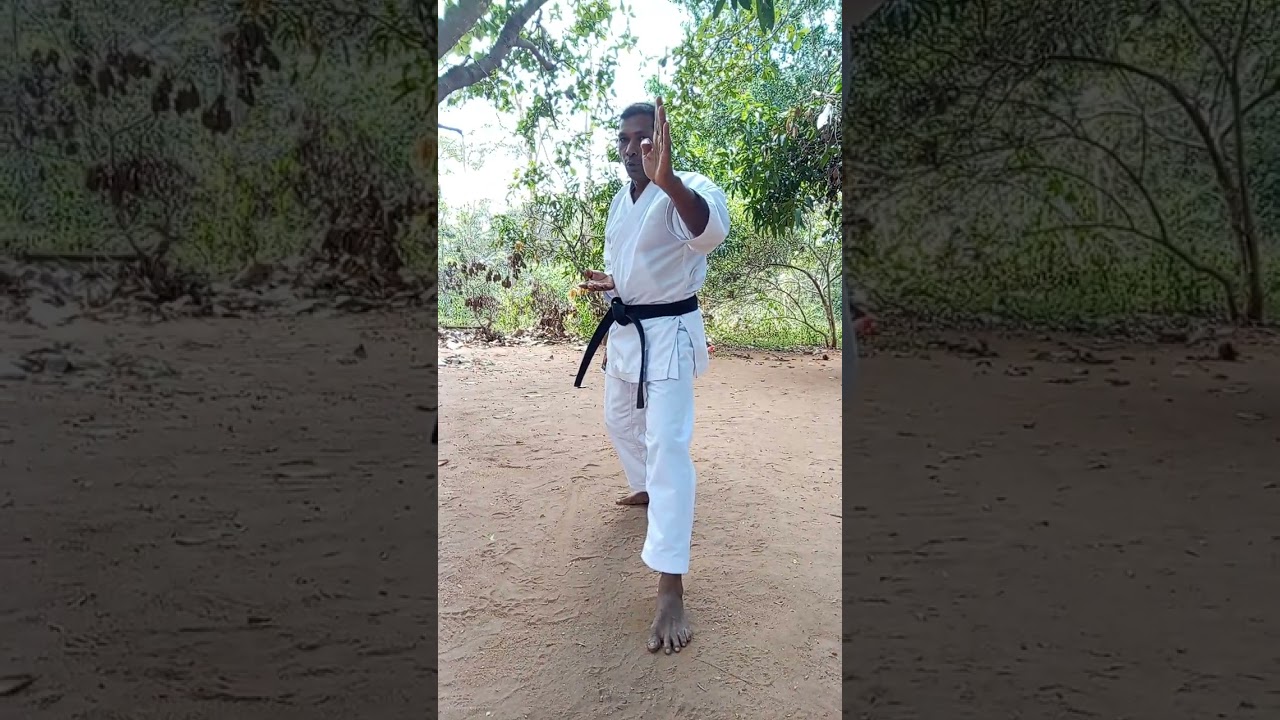 Bassai dai kata එක සිංහලෙන් පියවරෙන් පියවර පුරුදුවෙමු (බල කොටුවකට පහර දීම) #masterpramil 