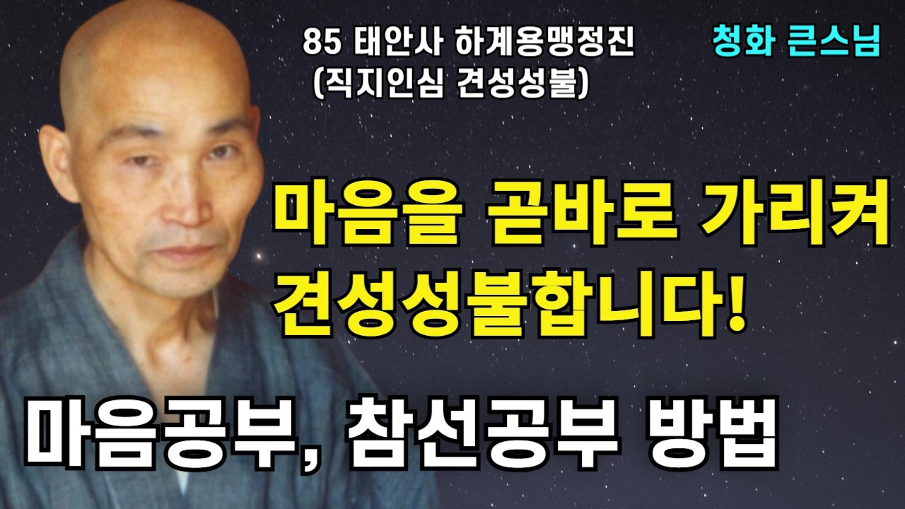 마음을 바로 딱 짚어서 견성성불합니다 직지인심 견성성불 | 마음공부와 참선공부하는 방법 |청화스님 법문