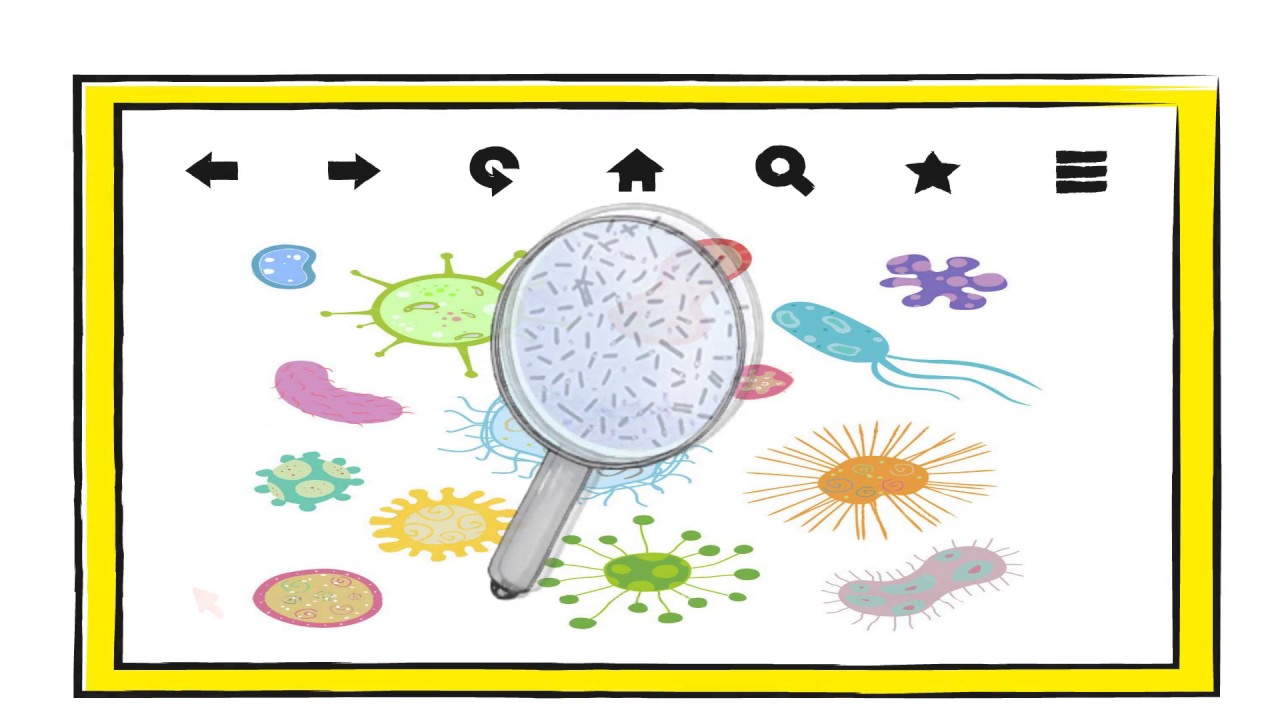 Espora bacteriana
