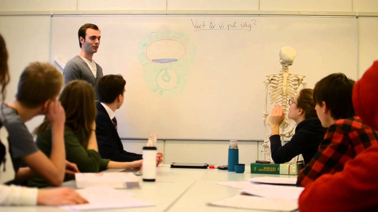 Preklin VT15: How to be a medical student