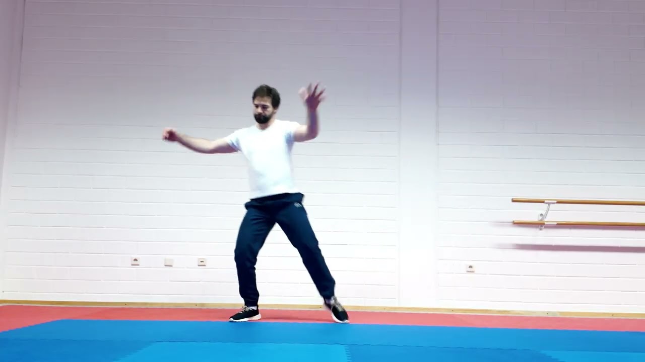 Aero dance beginner   intermediate nr2