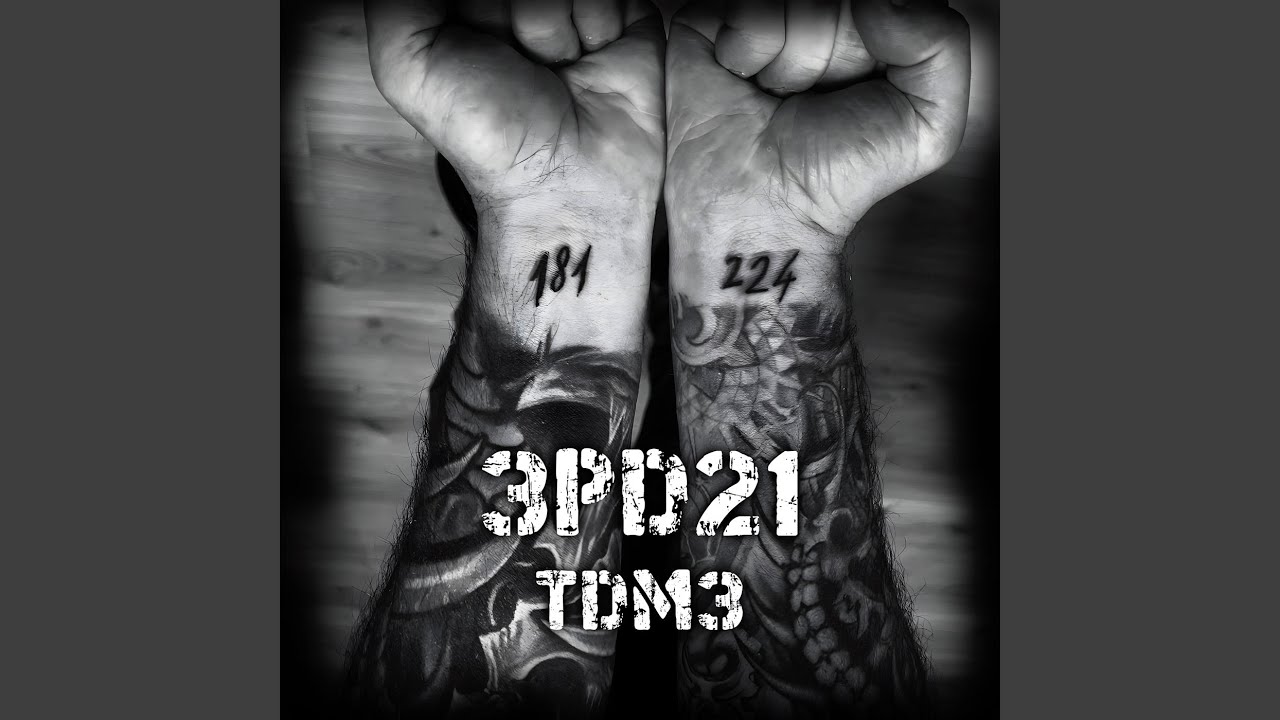 TDM3