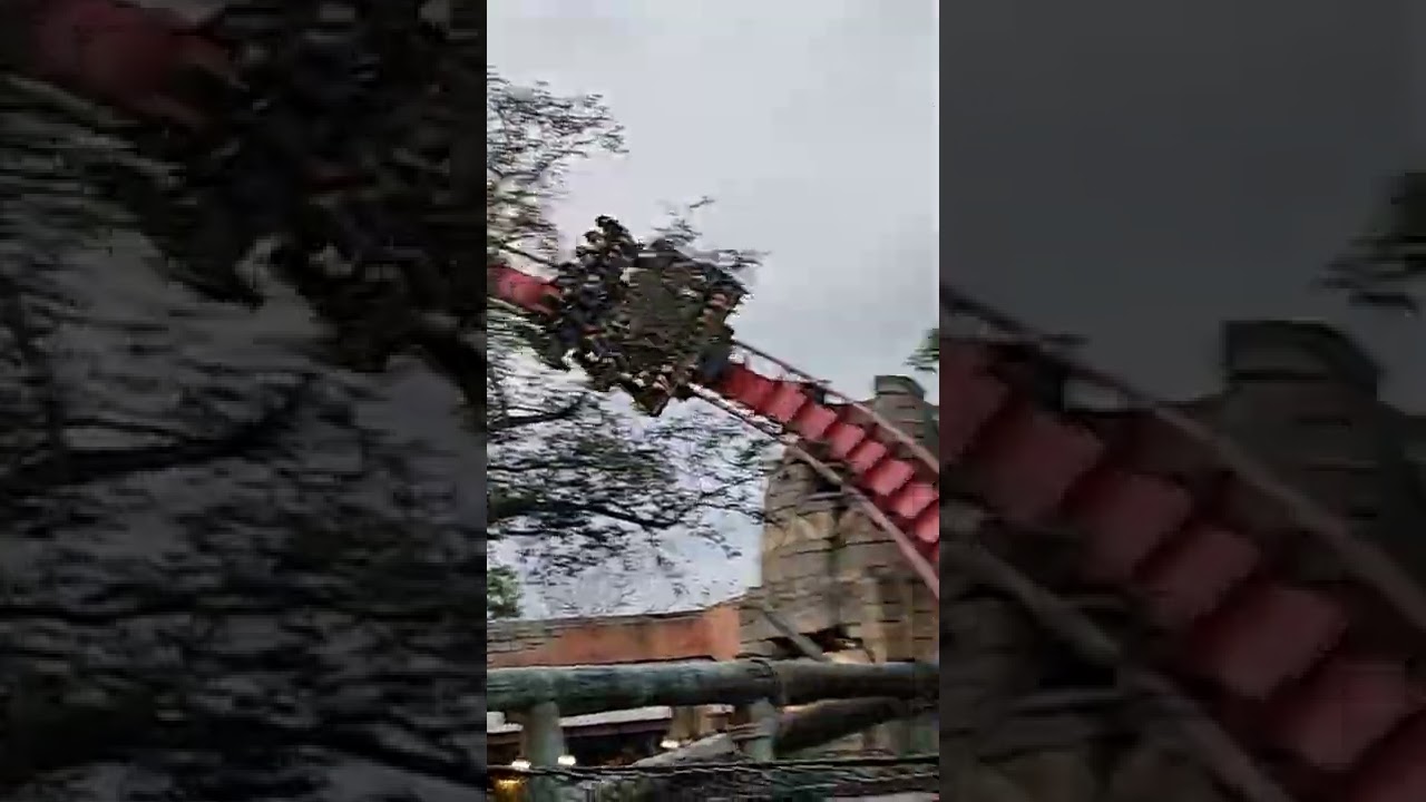 Shiekra!!Busch Gardens Tampa #shorts