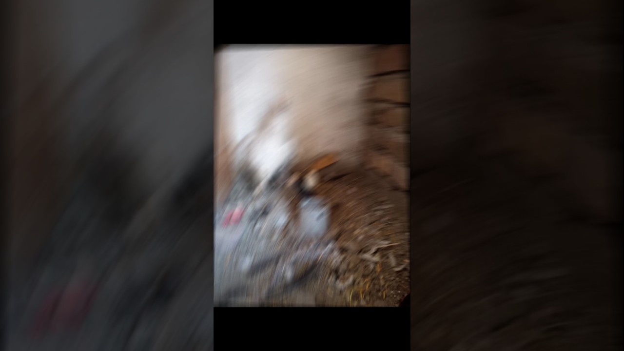 #short #shorts #shortvideo