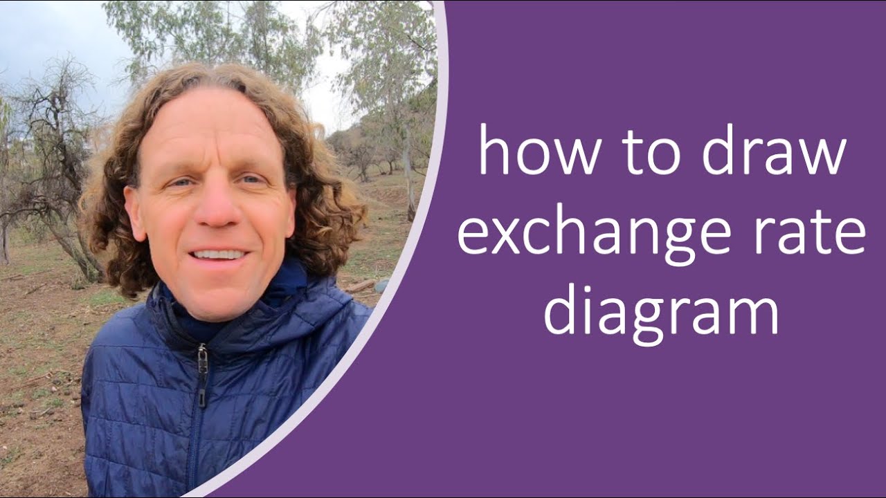 How to Draw the Exchange Rate Diagram!  |  IB International Economics | The Global Economy