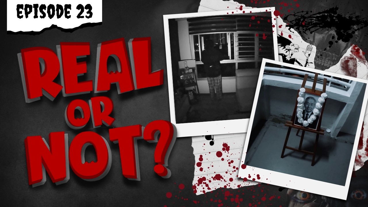 Real or Not - Episode Twenty Three (POVs)