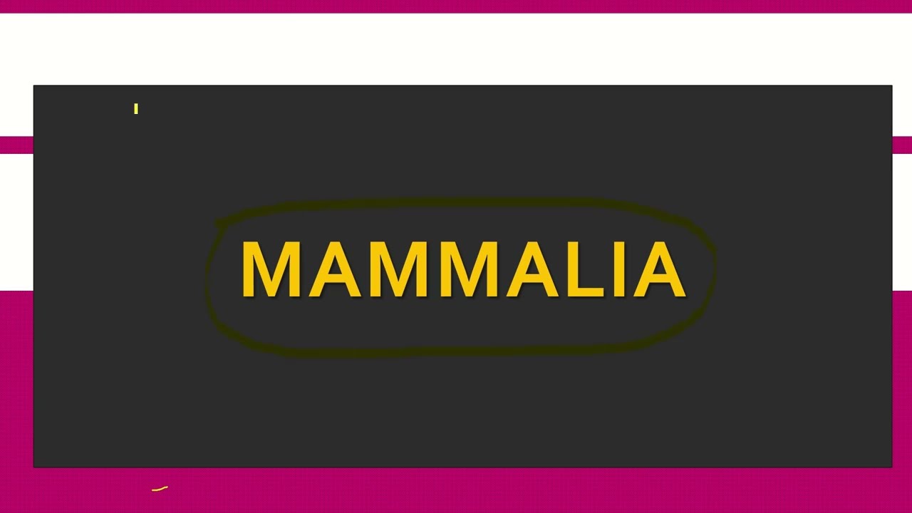 Mammalia general features