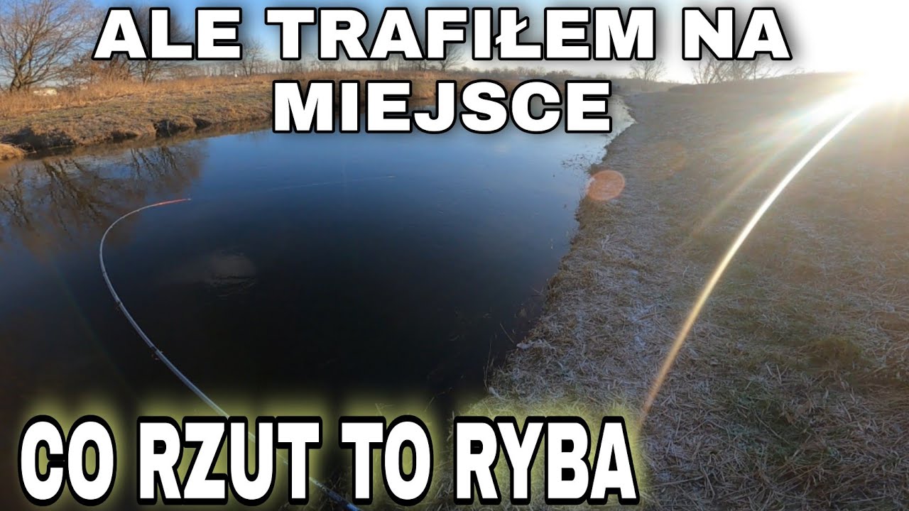 Co rzut to BRANIE! Spinning na RZECE! Ile ich dziś ZŁOWIĘ ?