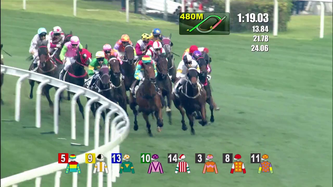 The Magic Man's Day Joao Moreira Wins 8/8 Race at Hong Kong Racecourse